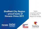 Horasis China Gathering, Sheffield, 2017